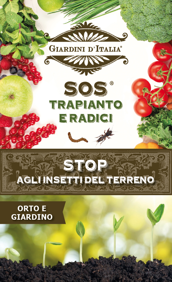 https://www.giardiniditalia.info/images/00045/sostrap_large.jpg